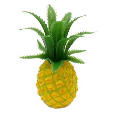 Как вырастить ананас в домашних условиях – блог интернет-магазина Порядок.ру
