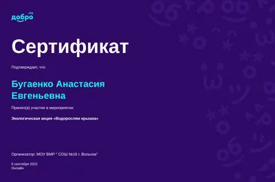 Письмо президенту РФ | Анатолий Дмитриевич Бугаенко | Дзен