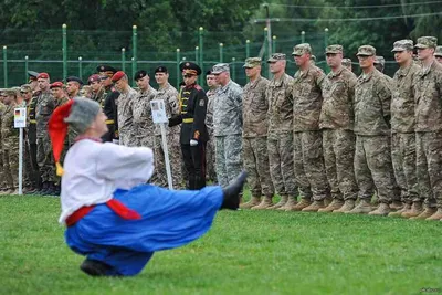 Книга Анастасия Дмитрук с... - Благодійна книгарня \"ДієСлово\" | فيسبوك