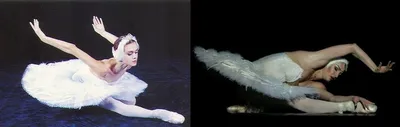 Балерины и Анастасия Волочкова | Пикабу