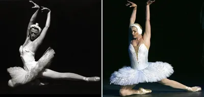 Балерины и Анастасия Волочкова | Пикабу