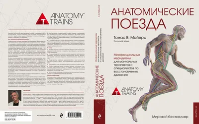 Анатомические поезда в реальности, DVD 1 [Томас Майерс] | Складчины |  Skladchina.vip
