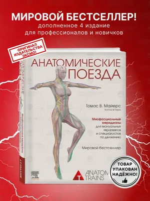 Книга Анатомические поезда. 4-е издание - купить в ТД Эксмо, цена на  Мегамаркет