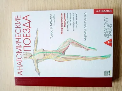 Mayers Anatomicheskie Poezda.296952 | PDF