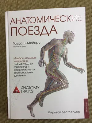 Анатомические поезда (Томас Майерс) - купить книгу с доставкой в  интернет-магазине «Читай-город». ISBN: 978-5-04-162096-7