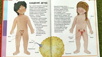 Dev Story. Анатомия для детей. История о «злобном Буратино»