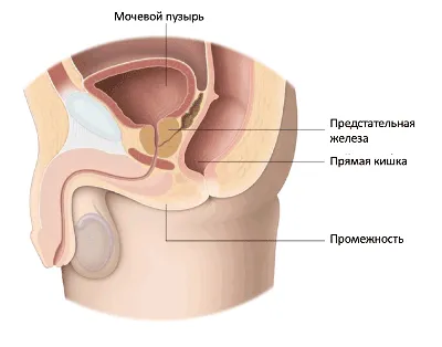 Колоректальный (толстокишечный) рак | Первый клинический медицинский центр