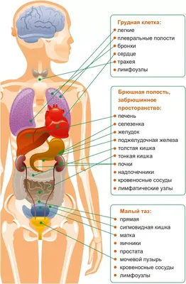 Всем откладывальщикам кирпичей - ЯПлакалъ