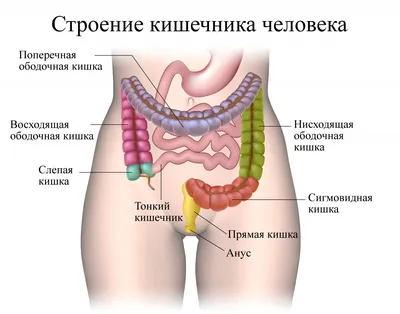 Рак ободочной кишки - симптомы и лечение