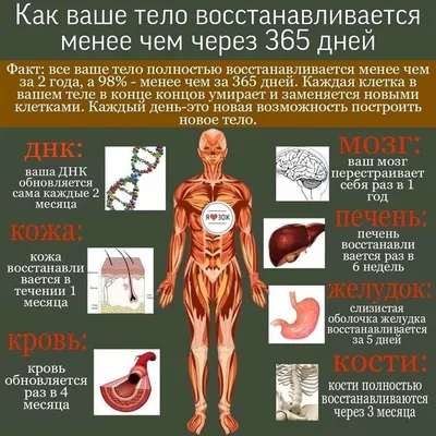 УЧЕБНО-МЕТОДИЧЕСКОЕ ПОСОБИЕ ДЛЯ САМОСТОЯТЕЛЬНОЙ РАБОТЫ СТУДЕНТОВ