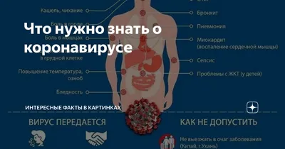 Анатомия человека фото - origins.org.ua