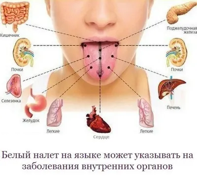 Что нужно знать о коронавирусе | Интересные факты в картинках | Дзен