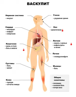 Анатомия: истории из жизни, советы, новости, юмор и картинки — Все посты,  страница 5 | Пикабу