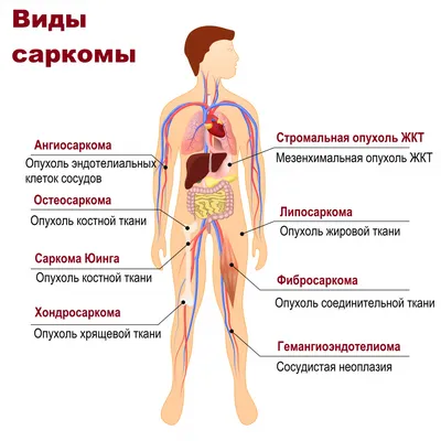 Функциональная диагностика в МКНЦ: манометрия пищевода