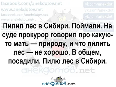 Анекдот про Лётчиков, зеков и Вторую Мировую | Пикабу