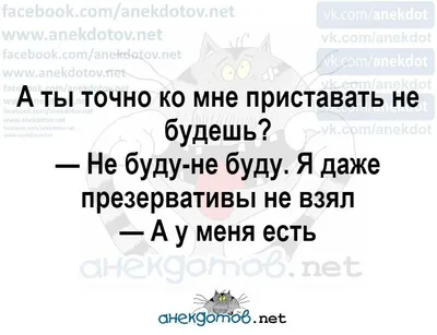 Анекдоты: Нет такого события в жизни русского человека, которое нельзя было  бы превратить в повод - KP.RU