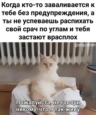 Калейдоскоп юмора - #анекдоты #юмор #приколы #картинки | Facebook