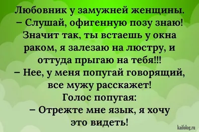 Смешные картинки с надписями до слез анекдоты приколы