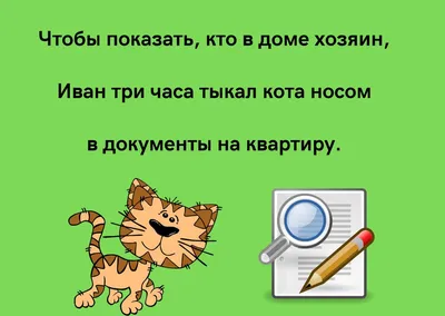 Анекдоты про котов: 50+ шуток, которые поднимут вам настроение