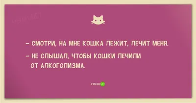 Анекдоты про кошек и котов - смешные приколы и шутки про питомцев - Телеграф