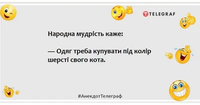 30 новых анекдотов про котов: с картинками и без | Замечания на полях  чепчика. | Дзен