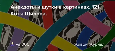 Смешные анекдоты в начале недели и домашние животные | Mixnews