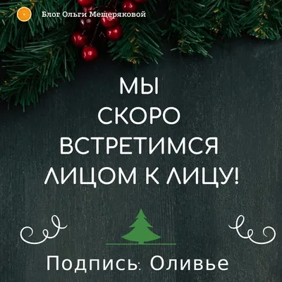 Новый Год и юмор — картинки, цитаты и анекдоты #новыйгод #юмор #mescher410  | Novelty christmas, Holiday, Holiday decor