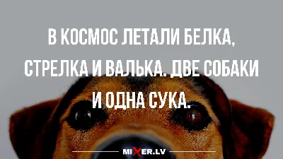 Прикольные картинки анекдоты и всякое такое. - Страница 164 - Общалка - (10  лет) NovFishing: Форум рыбаков и охотников