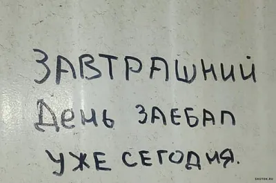 Пятница,13-е или ничто не предвещало беду: анекдоты дня | Живая Кубань