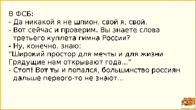 Подружки в старости прикольные картинки - 79 фото