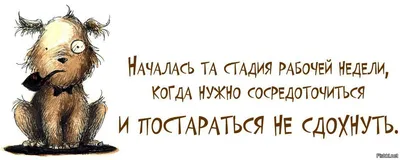 Шутки и картинки про работу. | Анекдоты со смыслом | Дзен