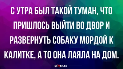 Анекдот: истории из жизни, советы, новости, юмор и картинки — Лучшее,  страница 2 | Пикабу