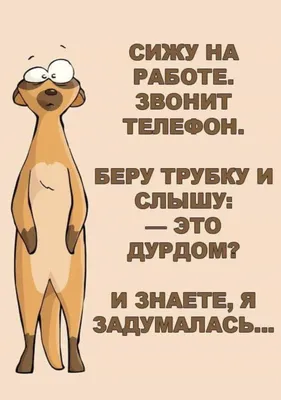 Доброе утро прикольные картинки. 90 новых картинок с добрым утром. | Доброе  утро, Животные, Веселые картинки