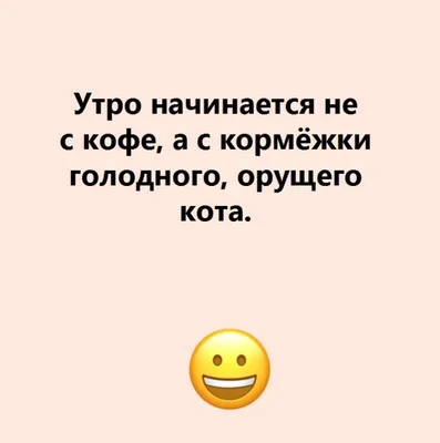 Милый, прошу, хватит читать анекдоты про Штирлица, пошли погуляем, сегодня  будет ясно А завтра пон / приколы для даунов :: анекдоты :: Буквы на белом  фоне :: штирлиц / смешные картинки и