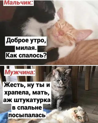 Анекдоты в картинках » uCrazy.ru - Источник Хорошего Настроения