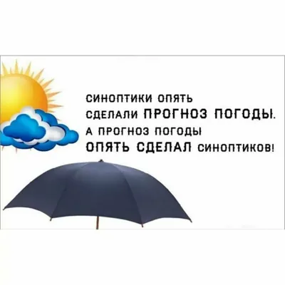 Что наука думает о пословице «Утро вечера мудренее» | Пикабу