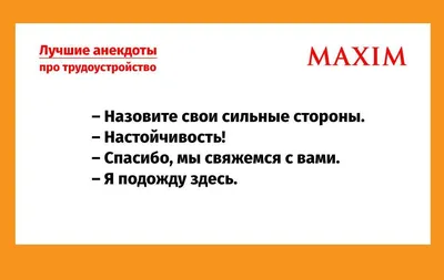 Лучшие анекдоты про трудоустройство и собеседования | MAXIM