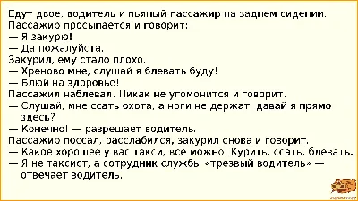 Смешные анекдоты на 2 февраля - позитивная подборка шуток, которая вас  развеселит - Телеграф