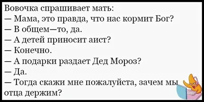 Анекдоты про Вовочку | Кристина | Дзен