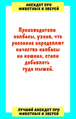 Анекдоты про тещу: более 50 смешных шуток