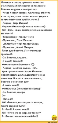 Однажды в школу приехала комиссия. Учительница беспокоится за поведение  Вовочки на уроке и говорит / анекдоты про вовочку :: анекдоты / смешные  картинки и другие приколы: комиксы, гиф анимация, видео, лучший  интеллектуальный юмор.