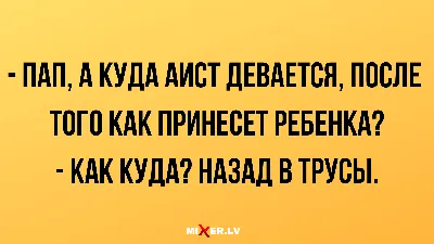 Анекдоты на 1 февраля и куда улетает аист | Mixnews