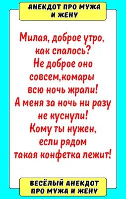 Анекдот про мужа и жену | Смешные поговорки, Смешно, Смешные карикатуры