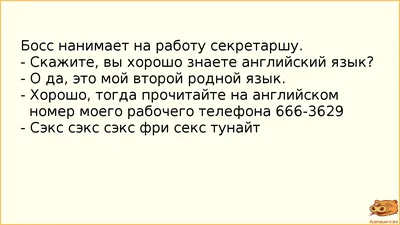 Анекдот про работу | Веселые мысли, Юмор о работе, Мудрые цитаты