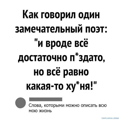 Лучшие анекдоты про психов, психиатров и сумасшедшие дома | MAXIM