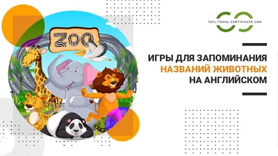 Купить книги по английскому языку для детей в Минске. Английская грамматика  для детей. Доставка по всей Беларуси | bookvarik.by