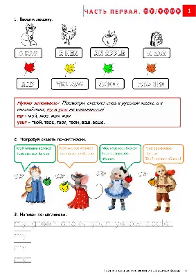 Притяжательные Местоимения (электронная книга).PRONOUNS. | EngGuide