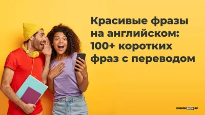 Пословицы, поговорки, шутки, приколы, картинки про котиков