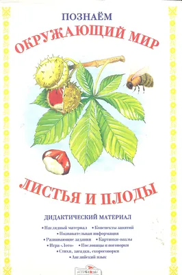 Книга Илюшкина. Изучаем Английский Язык легко и Весело. - купить книги по  обучению и развитию детей в интернет-магазинах, цены на Мегамаркет |