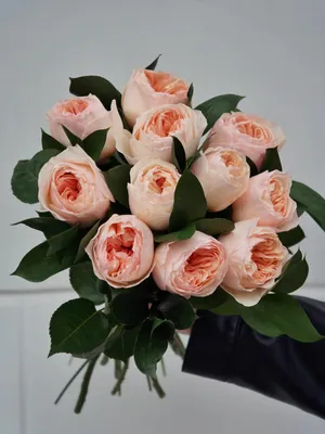 Букет из 11 английских роз juliet по цене 4426 руб. заказать с доставкой по  Москве - свежие цветы от интернет-магазина \"Во имя розы\"